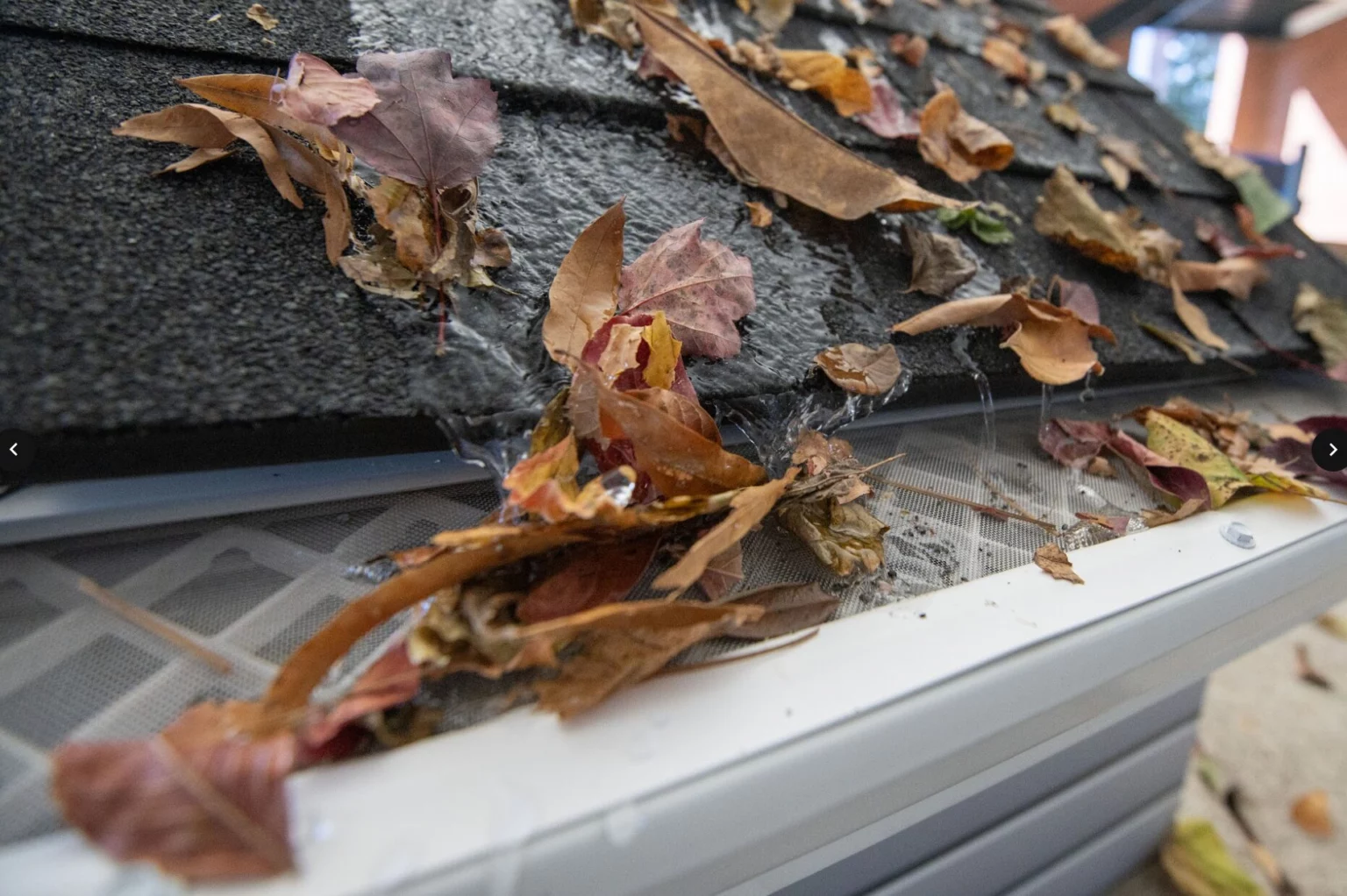 Gutter Guard Installers in Apex: 5 Companies for Better Drainage